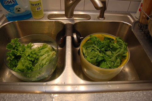 Romaine and Spinach