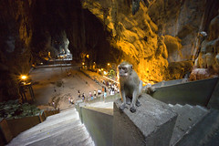 Malaysia 2010 - Kuala Lumpur - Batu Caves (9)