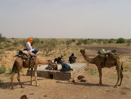 On remplit l'eau pour les chameaux