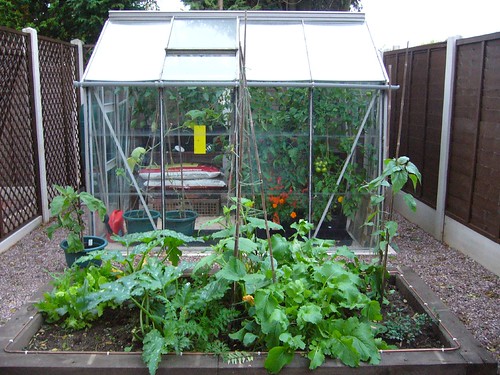 veg garden 004