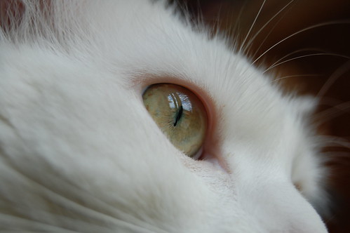 Through the eyes of Neo