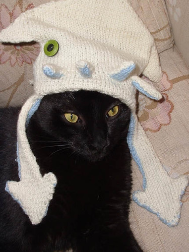 squid_cat_hat