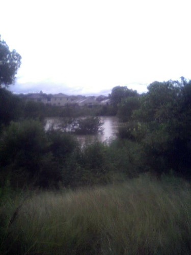 Culebra Creek after Erin