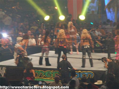 WWE Diva Battle Royal Summerslam