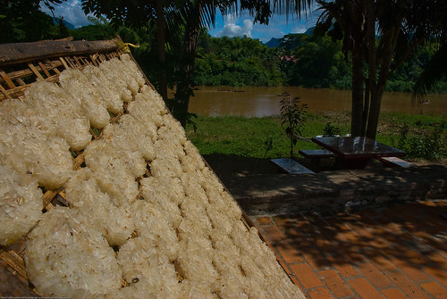 Rice cakes drying in the sun near the  Nam Khan River in Luang P