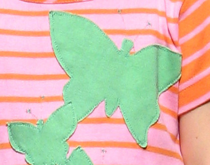 closeup of butterfly applique