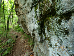 Seven Hollows Trail