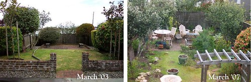 yard before and after