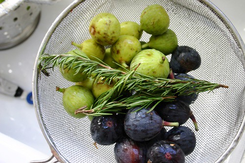 Figs and rosemary