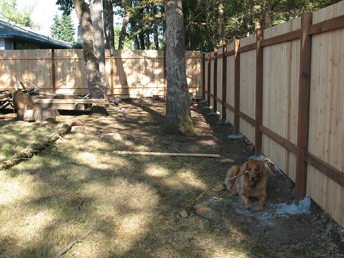 fence done 2
