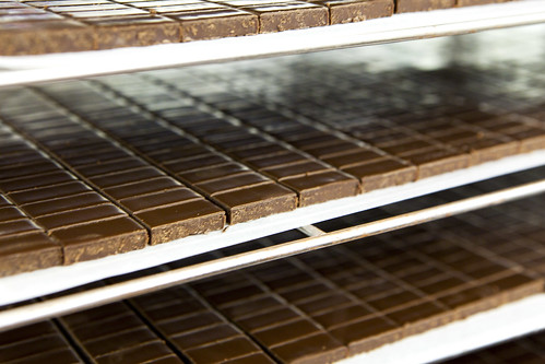 Trays upon trays of chopped ganache cooling in one of the refrigerator rooms