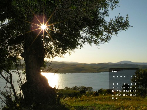 Calendario. Mes Agosto 2010. Olivo, Sol y Agua