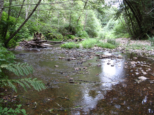 Waddell Creek