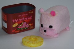 Canned Haminal