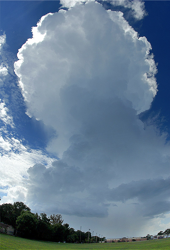 Large-Thunderhead