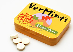 vermints-ginger