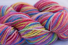 Eden on Cestari Super Fine Merino Wool *Seconds/Bright version* - 8 oz. (...a time to dye)