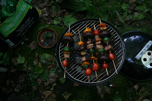 kabob on the grill