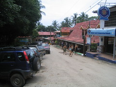 The Town in Montezuma