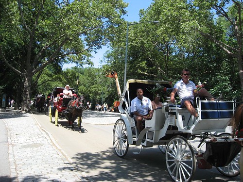 Horse & buggie ride in central park..