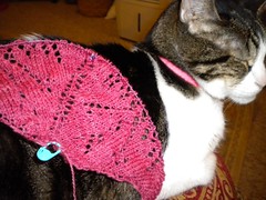 Whispering Pines Shawl (and Vinnie)