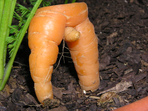 Sex With A Carrot 83