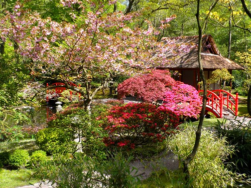 The Japanese garden of The Hague by Frans Schmit