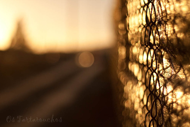 the golden fence