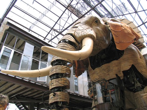 grand éléphant estuaire 2007