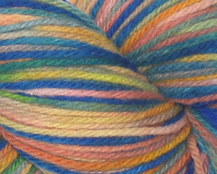 Bright Moments on  Rambouillet Worsted - 4oz (WW)