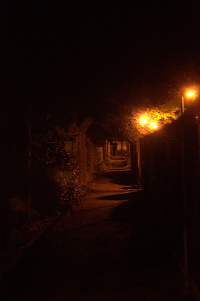 05-09-2010_looking_down_alley_at-nite_rs