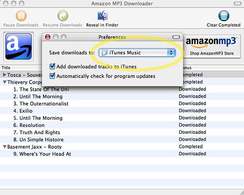Amazon MP3 Downloader - Preferences