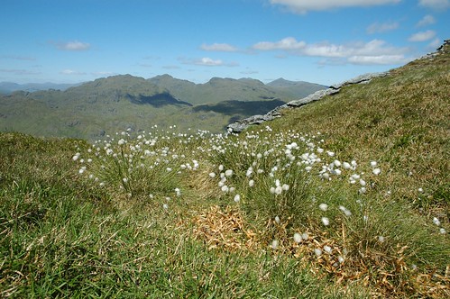 Crianlarich hills from Beinn a' Choin