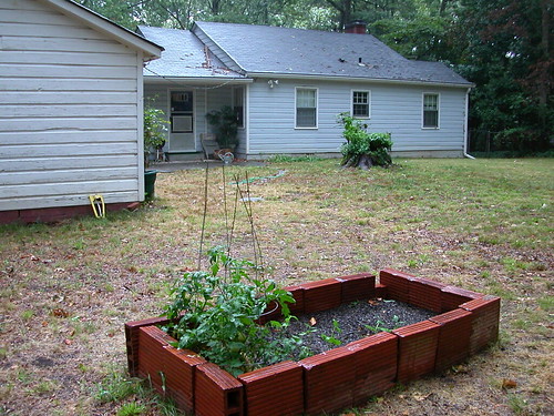 raised bed and house