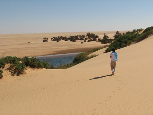 Salty lake in desert near Temissah