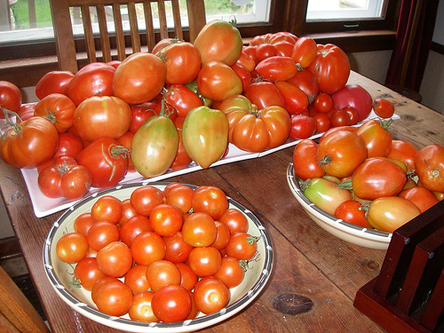 'Maters, 'Maters Everywhere.....