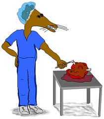 open heart surgery mouse