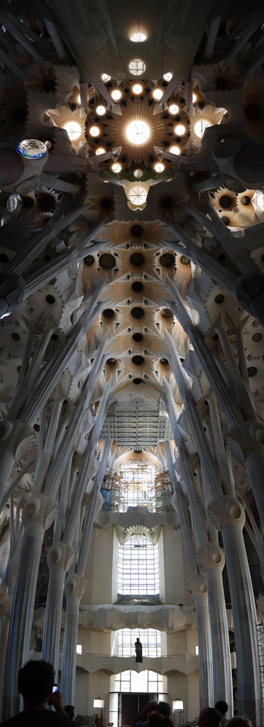 Ceiling of Sagrada Familia 聖家堂屋頂天花板