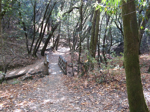 Start of the Creek Trail