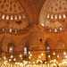 78. Peace is Inside the Blue Mosque of Istanbul / La Paz está dentro de la Mezquita Azul de Estambul