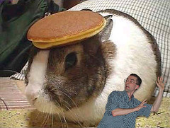 Pancake vs. Jeff