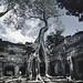 Angkor - Ta Prohm V - by zerega