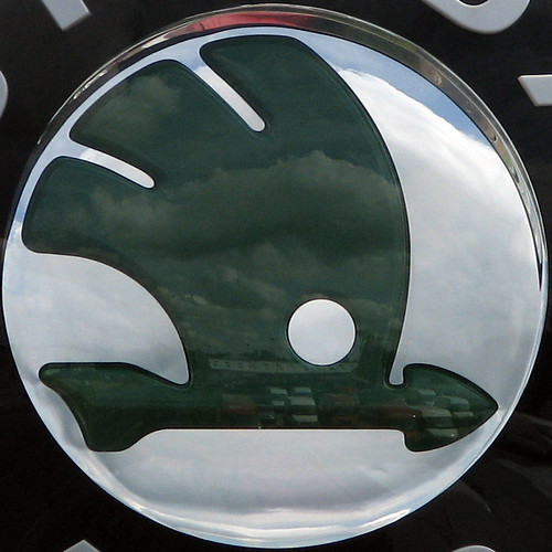 Skoda Logo. SKODA logo