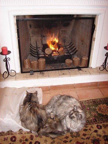gatas perto da lareira  ~  cats at fireplace