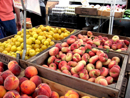 Samascott Orchards peaches and plums at the Morningside Heights Greenmarket