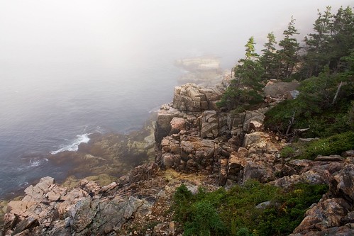 Otter Cliffs in the Fog
