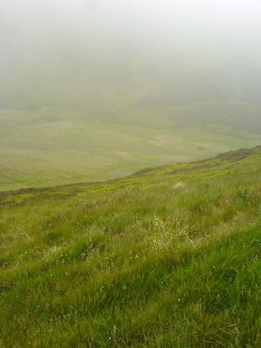 looking down to drghorn drop from Goat track around North of Allermuir