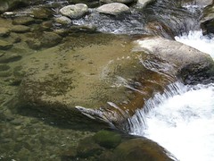74.清澈的蓬萊溪水