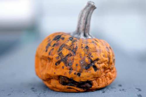 September 29: Gary, Come Get Your Pumpkin, It's Finally Ready!