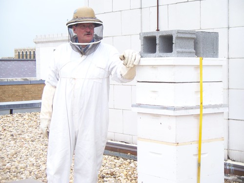 Wayne Bogovich, The Peoples Garden Apiary Beekeeper 